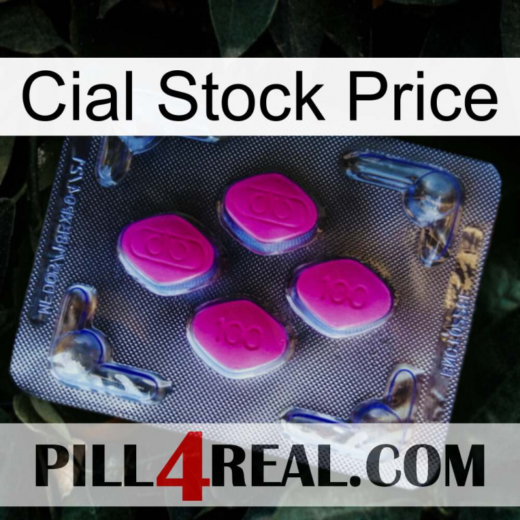Cial Stock Price 02